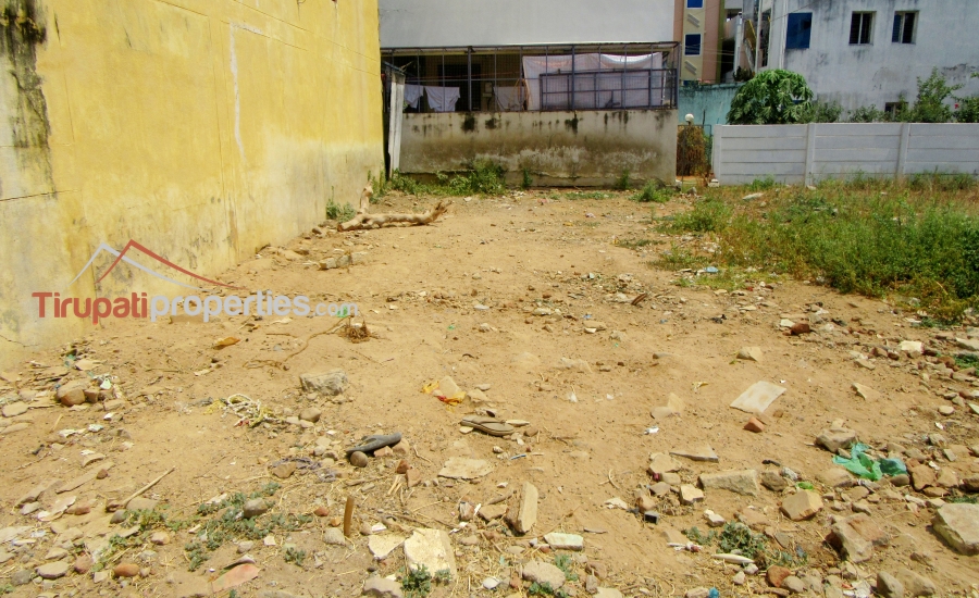 35 Anks North Facing #ReadyforConstruction #PlotforSale in Thimminaidupalem Near Mangalam Road, #Tirupati